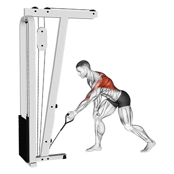 Cable Single-Arm Bent-Over Row