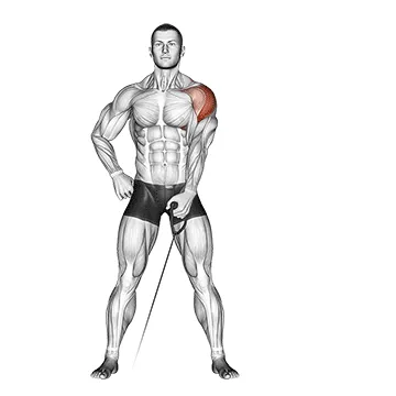 Single-Arm Cable Lateral Raise