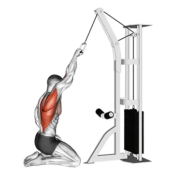 Single-Arm Kneeling Cable High Row