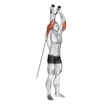 Cable Overhead Triceps Extension (Rope)