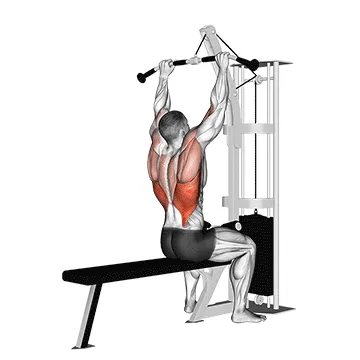 Cable Lat Pulldown