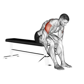 Cable Seated Rear Delt Raise