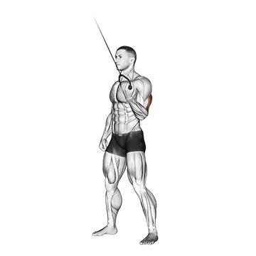 Cable Standing Single-Arm Triceps Extension