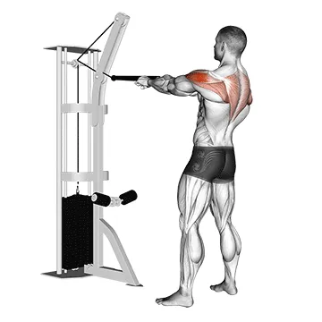 Cable Face Pull