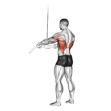 Straight-Arm Cable Pulldown