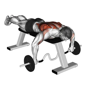 Barbell Cambered Bar Lying Row