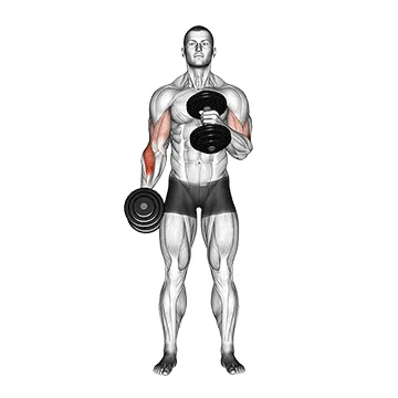 Dumbbell Cross-Body Hammer Curl