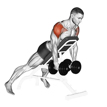 Dumbbell Incline Rear Delt Raise