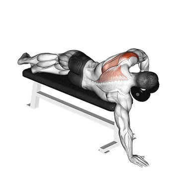 Single-Arm Lying Dumbbell Rear Delt Raise