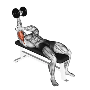 Pronated Single-Arm Dumbbell Triceps Extension
