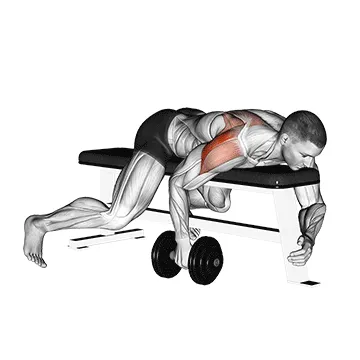 Dumbbell Lying Single-Arm Rear Delt Raise