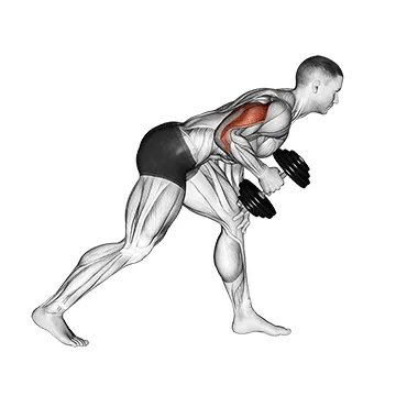Dumbbell Single-Arm Kickback