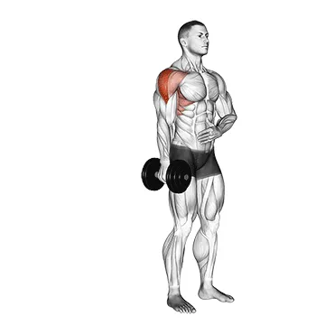Dumbbell Single-Arm Lateral Raise