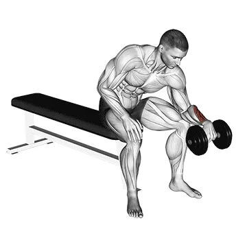 Dumbbell Single-Arm Reverse Wrist Curl