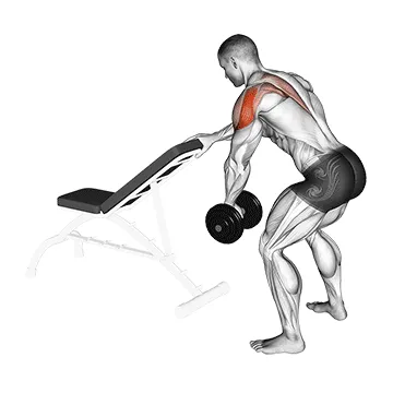 Supported Single-Arm Dumbbell Reverse Fly