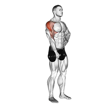 Dumbbell Single-Arm Upright Row
