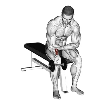 Dumbbell Single-Arm Wrist Curl