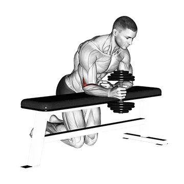 Single-Arm Neutral-Grip Dumbbell Curl
