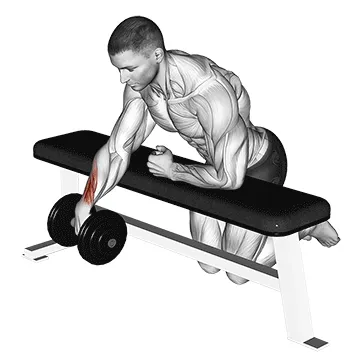 Single-Arm Dumbbell Wrist Curl on Bench