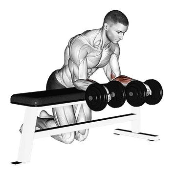 Reverse Dumbbell Wrist Curl on Bench