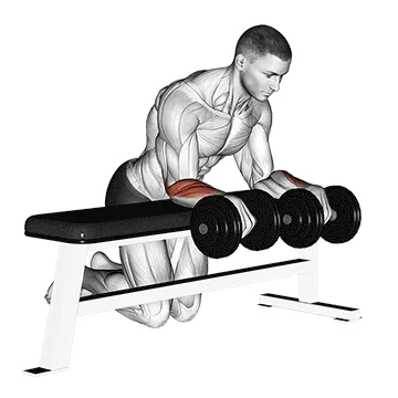 Dumbbell Wrist Curl on Bench