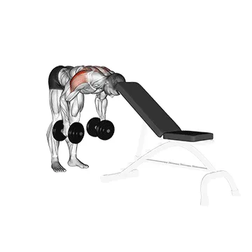 Head-Supported Dumbbell Rear Delt Raise