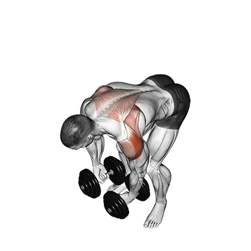 Bent-Over Dumbbell Rear Delt Raise