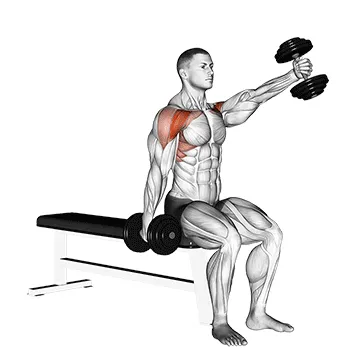 Dumbbell Seated Alternating Front Raise