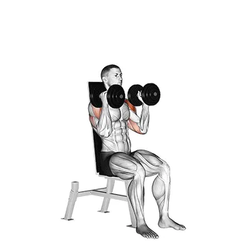 Dumbbell Seated Alternating Press