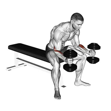 Dumbbell Seated Neutral-Grip Wrist Curl