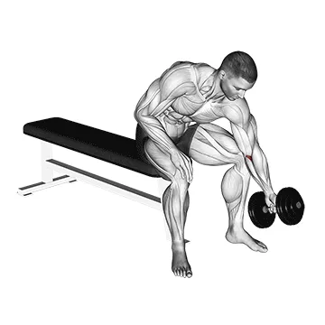 Single-Arm Seated Dumbbell Forearm Rotation