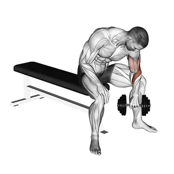 Reverse-Grip Dumbbell Concentration Curl