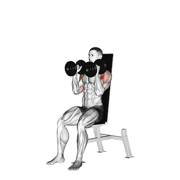 Neutral-Grip Seated Dumbbell Shoulder Press