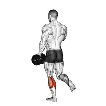 Dumbbell Single-Leg Calf Raise
