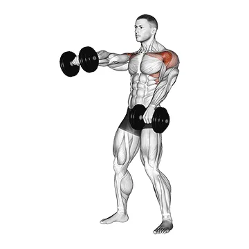 Dumbbell Standing Alternating Raise