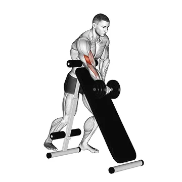 Single-Arm Incline Bench Dumbbell Curl