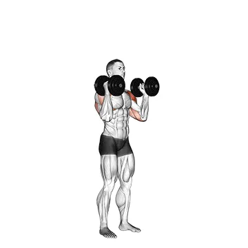 Neutral-Grip Standing Dumbbell Press
