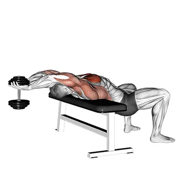 Dumbbell Straight-Arm Pullover
