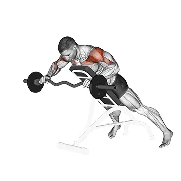 EZ-Bar Anti Gravity Press