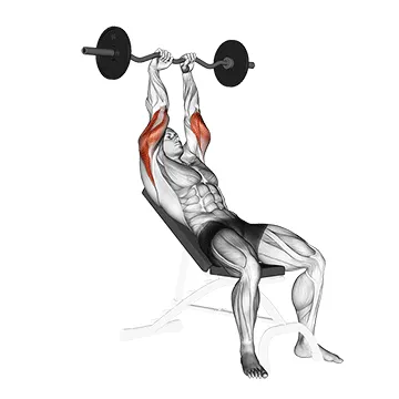 EZ-Bar Incline Triceps Extension