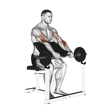 EZ-Bar Reverse-Grip Preacher Curl