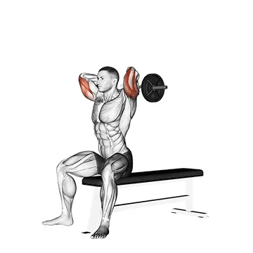 EZ-Bar Seated Triceps Extension