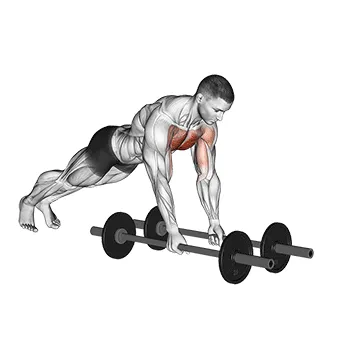 Barbell Floor Fly