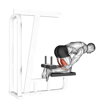 Bench-Supported Inverse Leg Curl