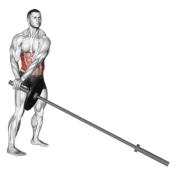 Barbell Landmine 180