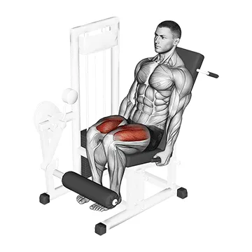 Lever Leg Extension