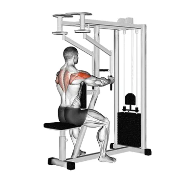 Neutral-Grip Lever Seated Reverse Fly