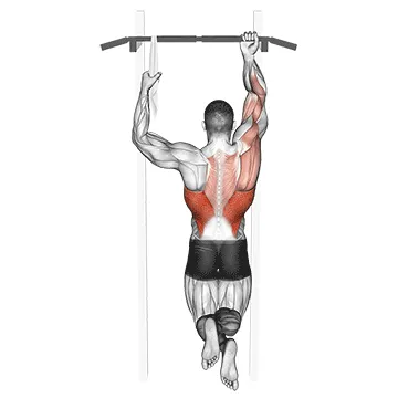 Single-Arm Chin-Up