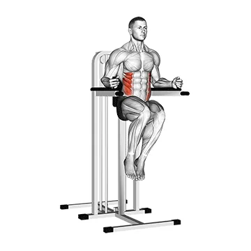 Parallel Bar Side Leg Raise