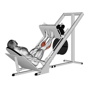 Calf Press